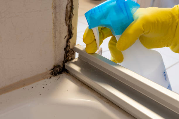 Crawl Space Mold Removal in Lebanon, IN